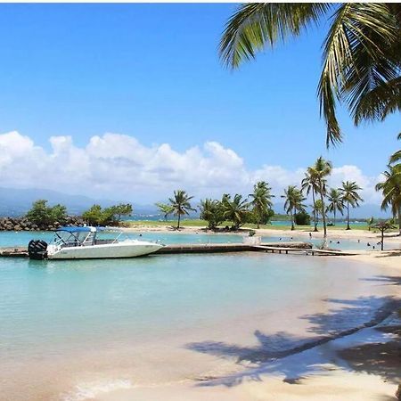Studio Confort Pres Des Plages لو جوسيير المظهر الخارجي الصورة